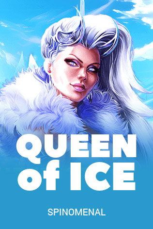 Queen Of Ice Winter Kingdom
